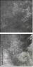 61243496
