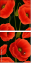 64821989