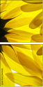 6606588