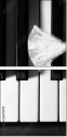 66575978