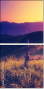 67236047