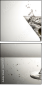 68770141