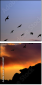 90650387
