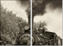 11284076