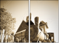 34463140