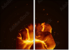 54582803