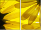 6606588