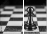 70258713