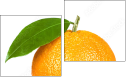 Diptychon - Zweiteiliges Leinwandbild