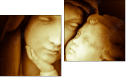 Diptychon - Zweiteiliges Leinwandbild