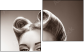 Diptychon - Zweiteiliges Leinwandbild