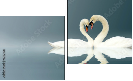 Love Swans - Zweiteiliges Leinwandbild, Diptychon