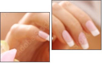 hands care. Female hands holding rose petals - Zweiteiliges Leinwandbild, Diptychon