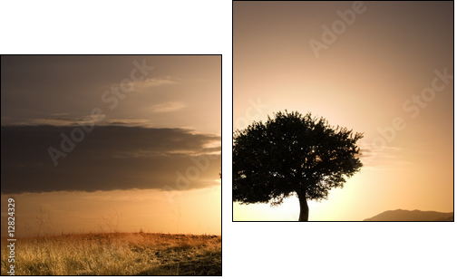 solitary oak tree in golden sunset - Zweiteiliges Leinwandbild, Diptychon