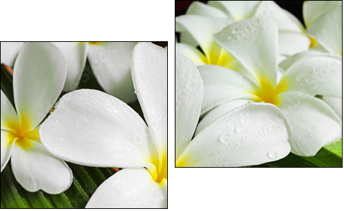 flowers spa - Zweiteiliges Leinwandbild, Diptychon