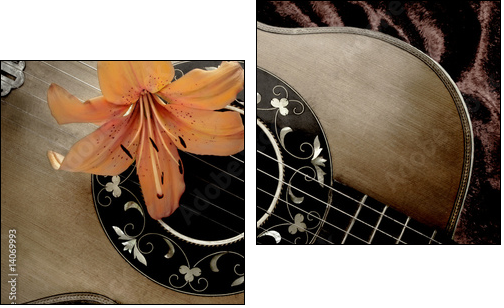 Nostalgia with vintage guitar and lily - Zweiteiliges Leinwandbild, Diptychon