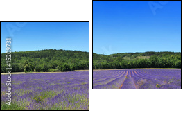 Panorama de provence - Zweiteiliges Leinwandbild, Diptychon