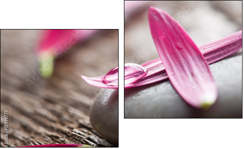 Flower petals - Zweiteiliges Leinwandbild, Diptychon