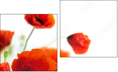floral design, decoration flowers, poppies border - corner - Zweiteiliges Leinwandbild, Diptychon