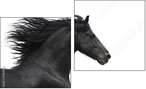 Portrait of galloping frisian horse on white background - Zweiteiliges Leinwandbild, Diptychon