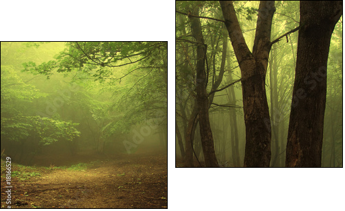 Green forest with fog - Zweiteiliges Leinwandbild, Diptychon