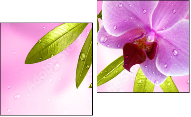 Wellness Motiv mit Orchidee - Zweiteiliges Leinwandbild, Diptychon