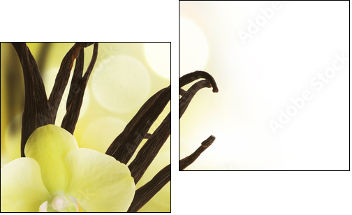 Beautiful Vanilla beans and flower over blurred background - Zweiteiliges Leinwandbild, Diptychon