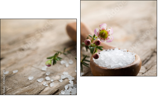 Bath salt - Zweiteiliges Leinwandbild, Diptychon