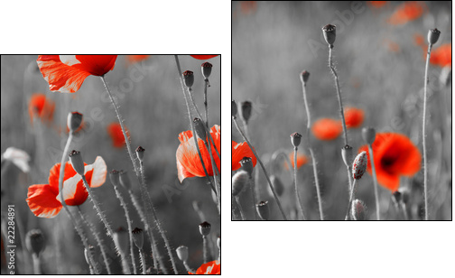 red poppies on  field - Zweiteiliges Leinwandbild, Diptychon