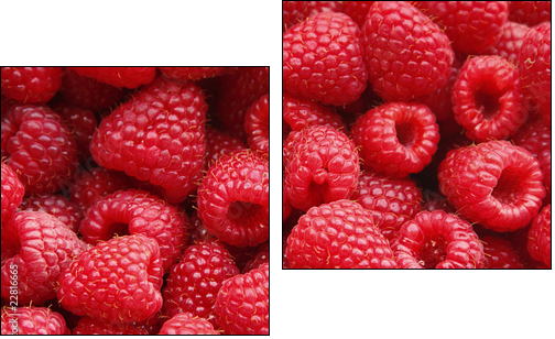 Sweet raspberry - Zweiteiliges Leinwandbild, Diptychon