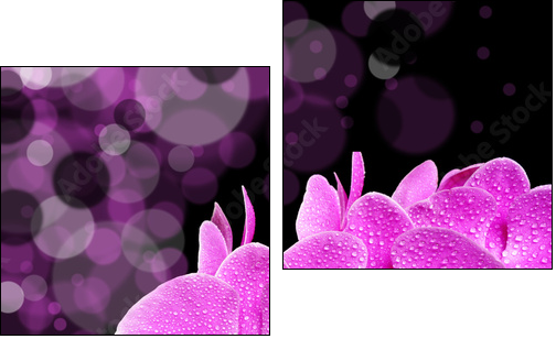 orchid - Zweiteiliges Leinwandbild, Diptychon