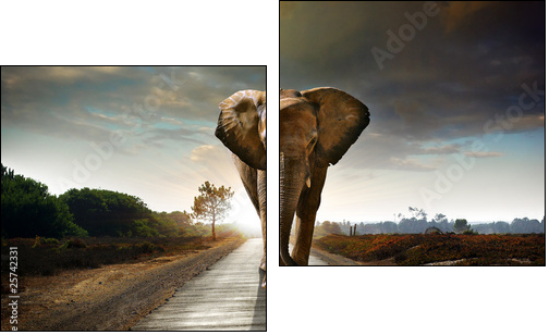 Walking Elephant - Zweiteiliges Leinwandbild, Diptychon