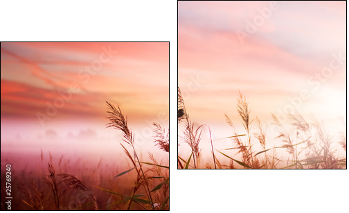 Foggy Landscape.Early Morning Mist. - Zweiteiliges Leinwandbild, Diptychon