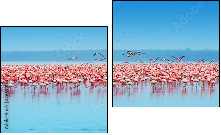 African flamingos - Zweiteiliges Leinwandbild, Diptychon