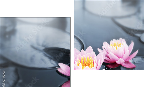 Lotus blossoms - Zweiteiliges Leinwandbild, Diptychon
