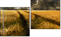 thunderstorm over a golden  barley field - Zweiteiliges Leinwandbild, Diptychon