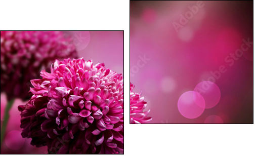 Dahlia Autumn flower design. With copy-space - Zweiteiliges Leinwandbild, Diptychon