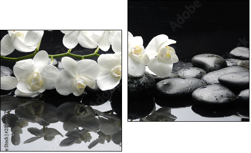 Close up white orchid with stone water drops - Zweiteiliges Leinwandbild, Diptychon