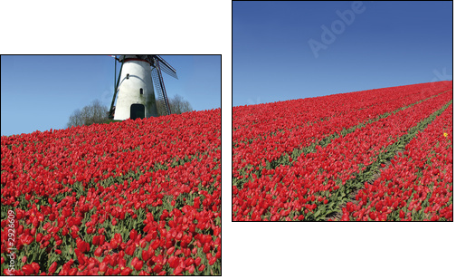 dutch mill and red tulips - Zweiteiliges Leinwandbild, Diptychon