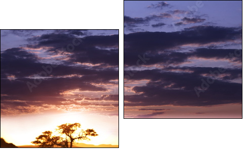 Namib - Zweiteiliges Leinwandbild, Diptychon