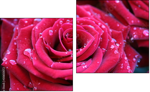 Red rose with dew - Zweiteiliges Leinwandbild, Diptychon