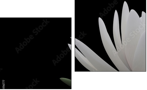 3d lotus - Zweiteiliges Leinwandbild, Diptychon