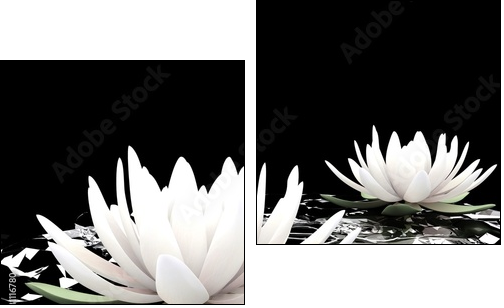 3d lotus on water - Zweiteiliges Leinwandbild, Diptychon