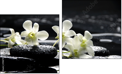 Zen stones and white orchids with reflection - Zweiteiliges Leinwandbild, Diptychon