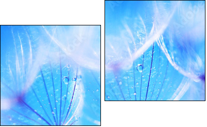 Soft dandelion flowers - Zweiteiliges Leinwandbild, Diptychon