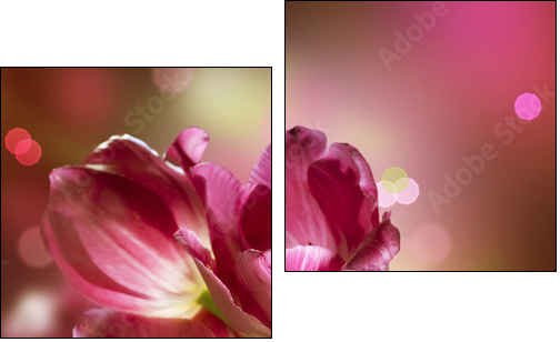 Flowers. Anniversary Card Design - Zweiteiliges Leinwandbild, Diptychon