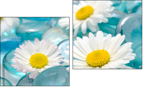 Daisy Flowers on Blue Glass Stones - Zweiteiliges Leinwandbild, Diptychon