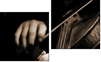 Musician playing violin isolated on black - Zweiteiliges Leinwandbild, Diptychon