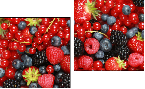 Beeren - Zweiteiliges Leinwandbild, Diptychon