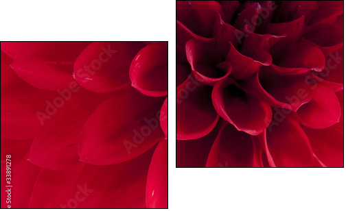 Dahlia - Zweiteiliges Leinwandbild, Diptychon